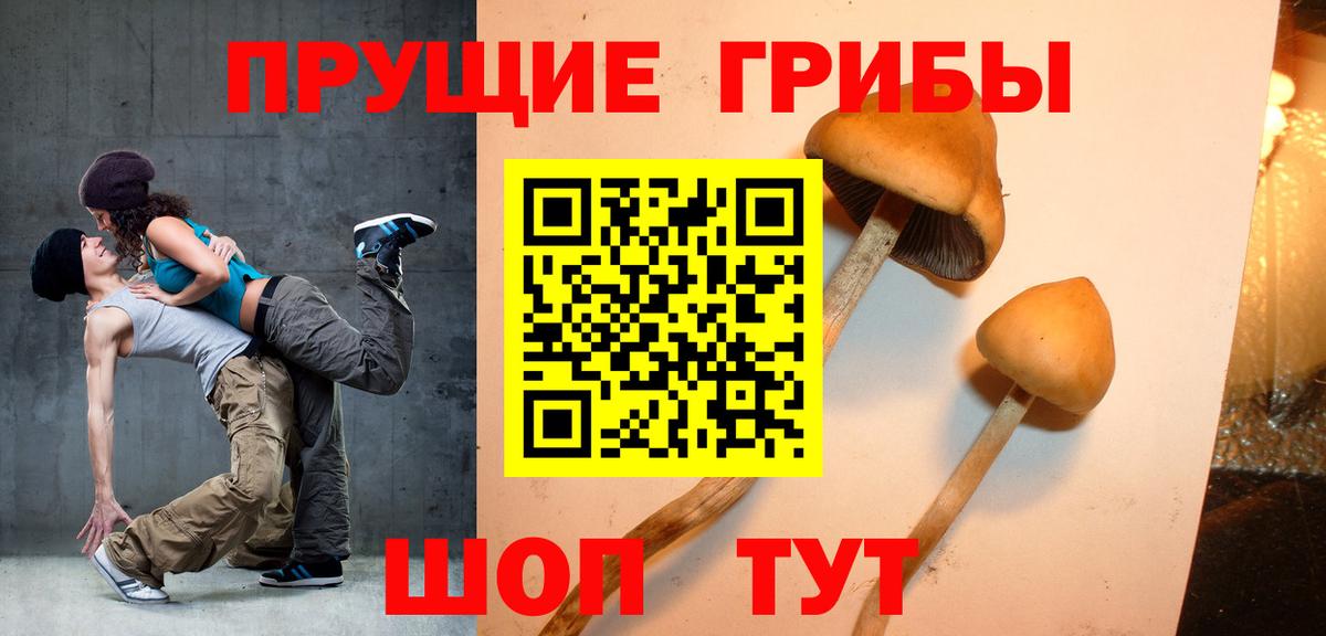 Галлюциногенные грибы GOLDEN TEACHER Усть-Джегута